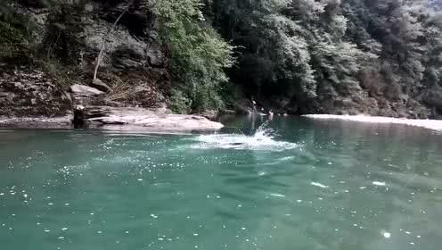 逗小猴开心系列205