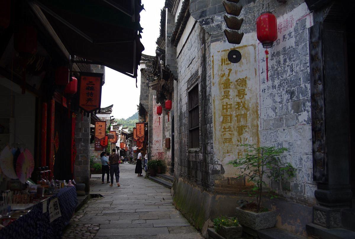 小猫钓鱼游戏龙王版有船