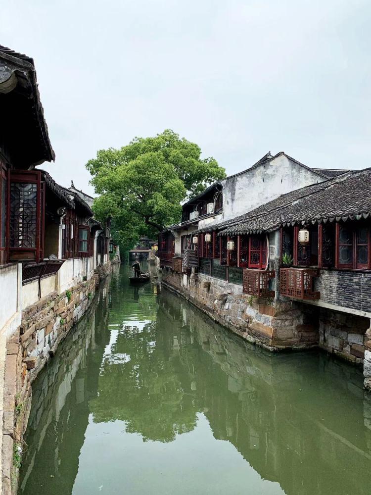 救援大嘴鸟